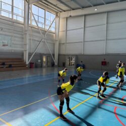 VOLEIBOL JUGANDO
